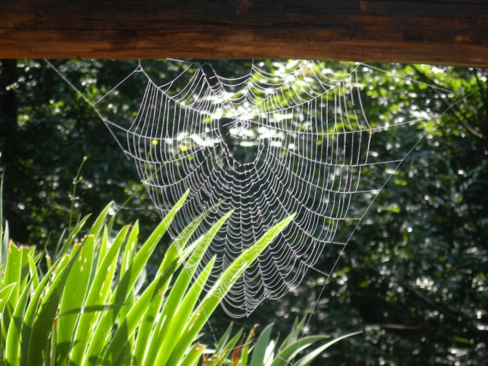 Location de vacances - Gîte à Junhac