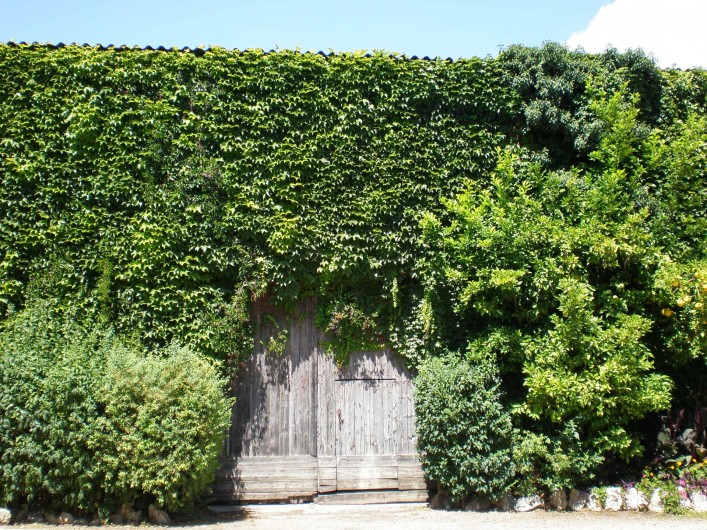 Location de vacances - Gîte à Mirepeisset - Cave