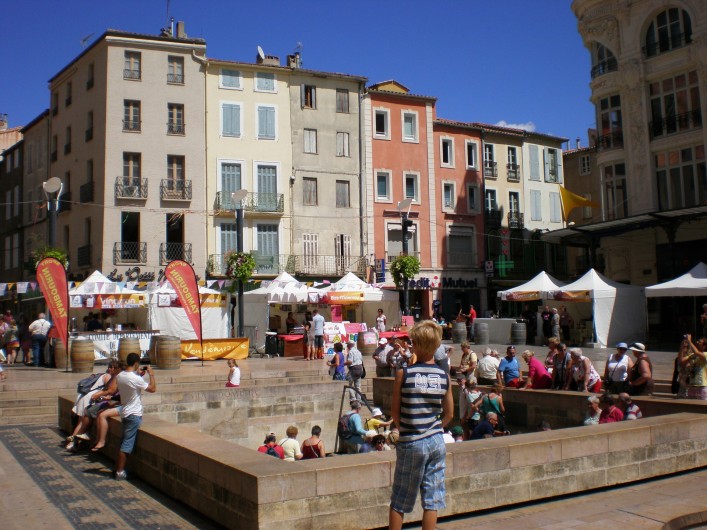 Location de vacances - Gîte à Mirepeisset - Narbonne