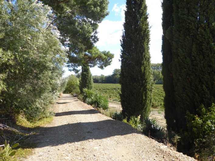 Location de vacances - Gîte à Mirepeisset