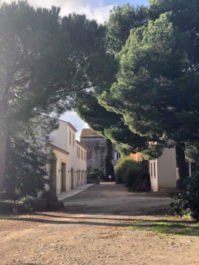 Location de vacances - Gîte à Mirepeisset - Entrée