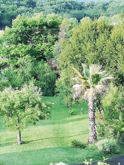 Location de vacances - Chambre d'hôtes à Salies-de-Béarn - vue sur la jardin