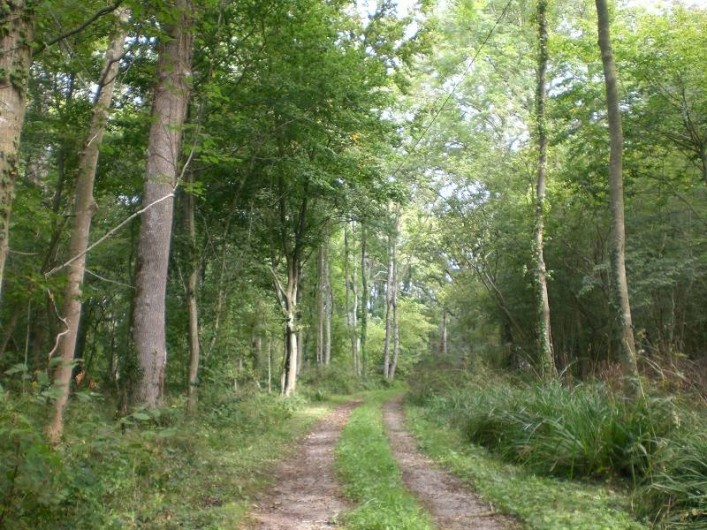 Location de vacances - Gîte à Verlincthun