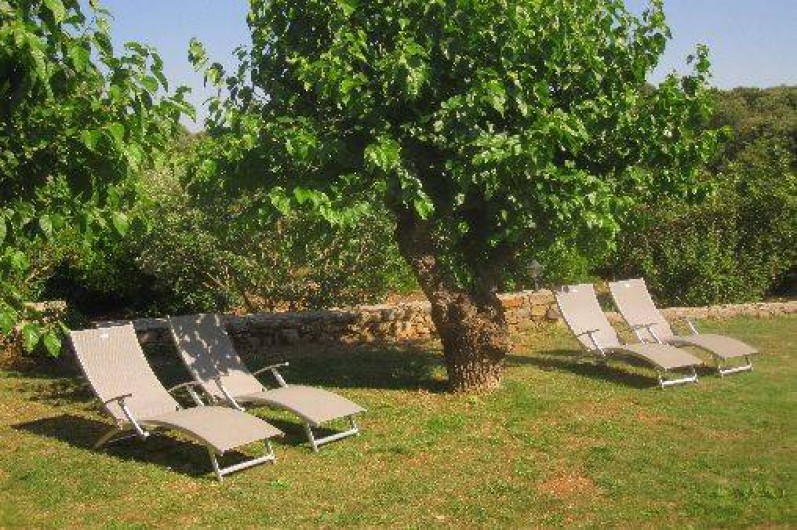 Location de vacances - Chambre d'hôtes à Les Vans - Jardin