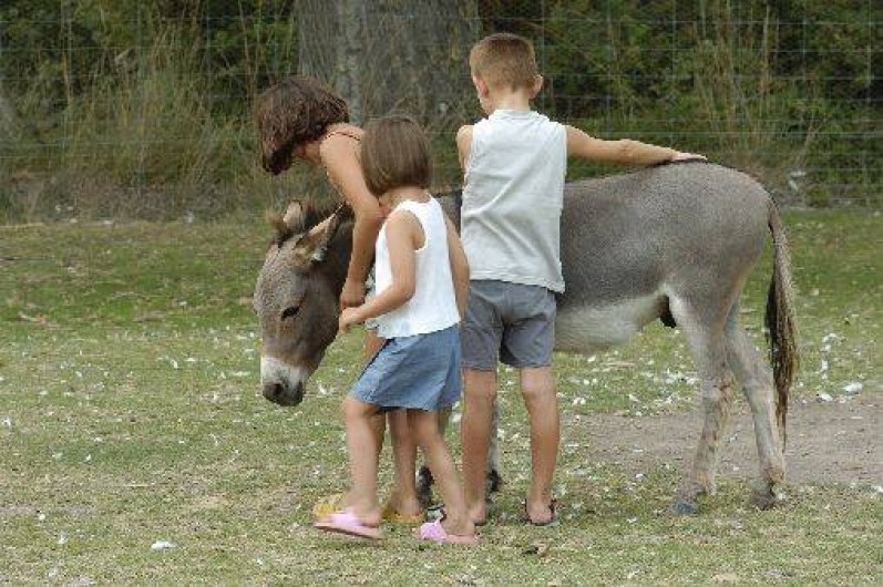 Location de vacances - Camping à Canet-en-Roussillon