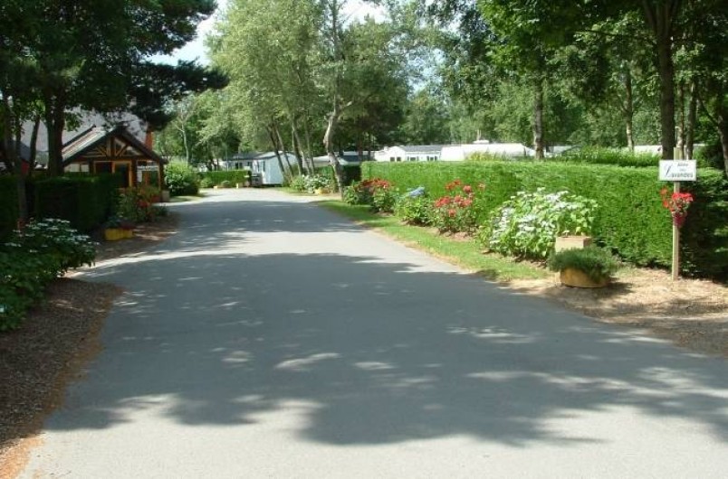 Location de vacances - Bungalow - Mobilhome à Guidel