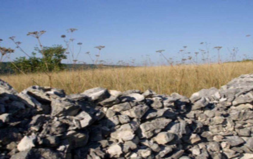 Location de vacances - Bungalow - Mobilhome à Saint-Pierre-Lafeuille