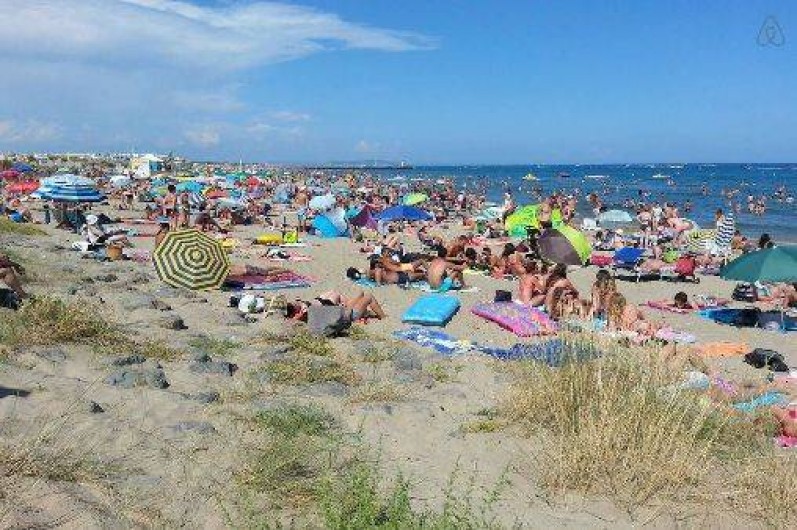 Location de vacances - Studio à Agde