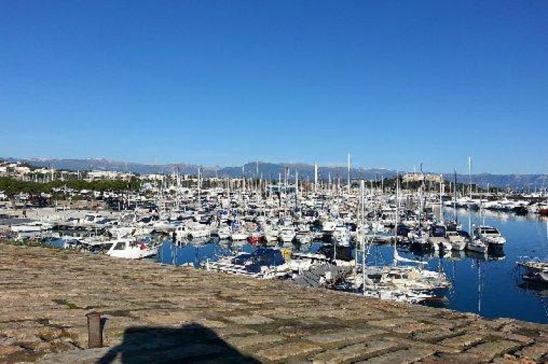 Location de vacances - Studio à Agde