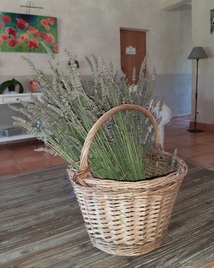 Location de vacances - Villa à Uzès