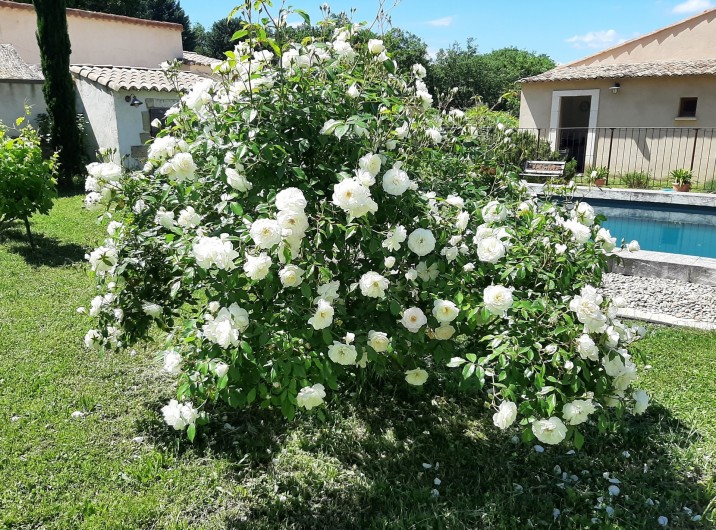 Location de vacances - Villa à Uzès