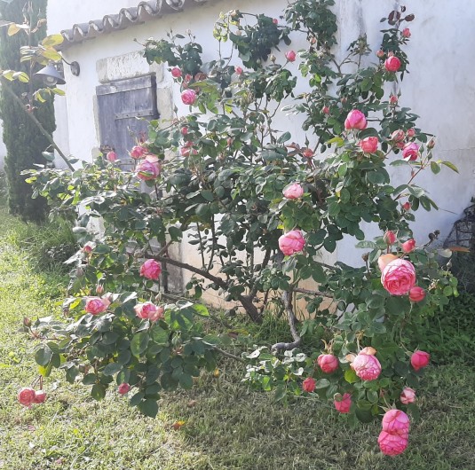 Location de vacances - Villa à Uzès