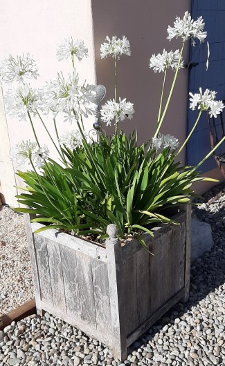 Location de vacances - Villa à Uzès