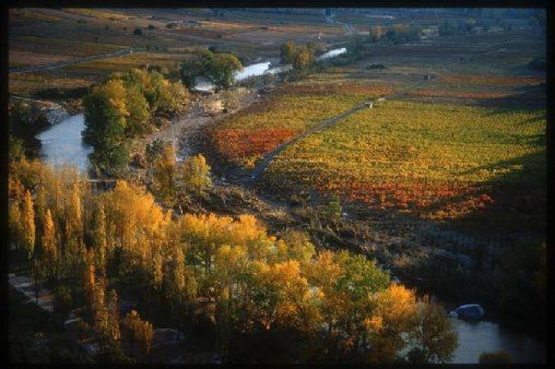 Location de vacances - Chambre d'hôtes à Tautavel - Environnement
