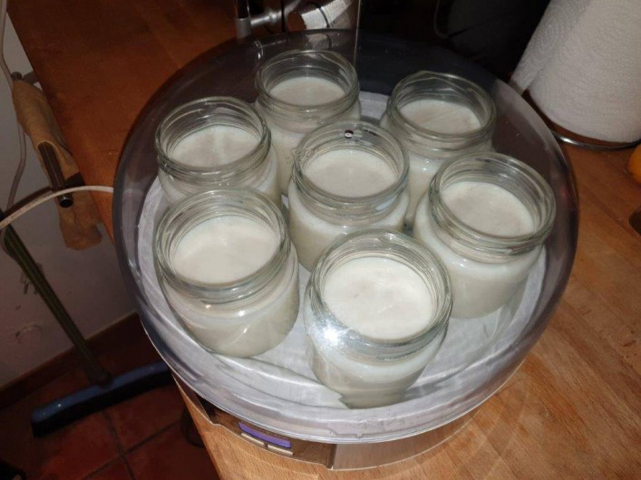 Location de vacances - Chambre d'hôtes à Tautavel - Petit déjeuner "maison"