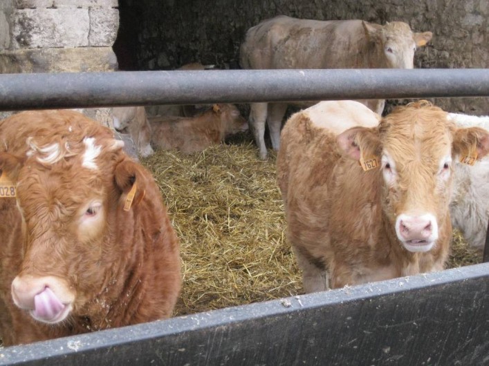 Location de vacances - Chambre d'hôtes à Vauxaillon