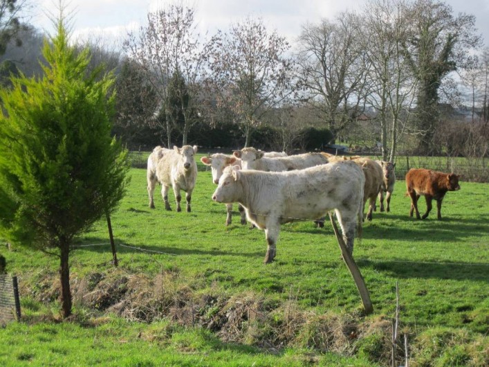 Location de vacances - Chambre d'hôtes à Vauxaillon