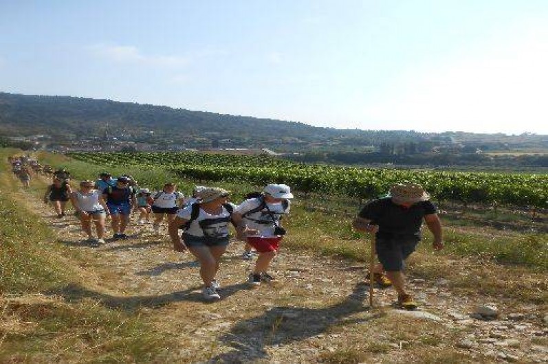 Location de vacances - Camping à Saint-Sauveur-de-Cruzières