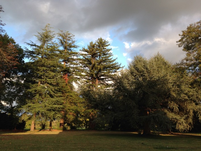 Location de vacances - Appartement à Bergerac