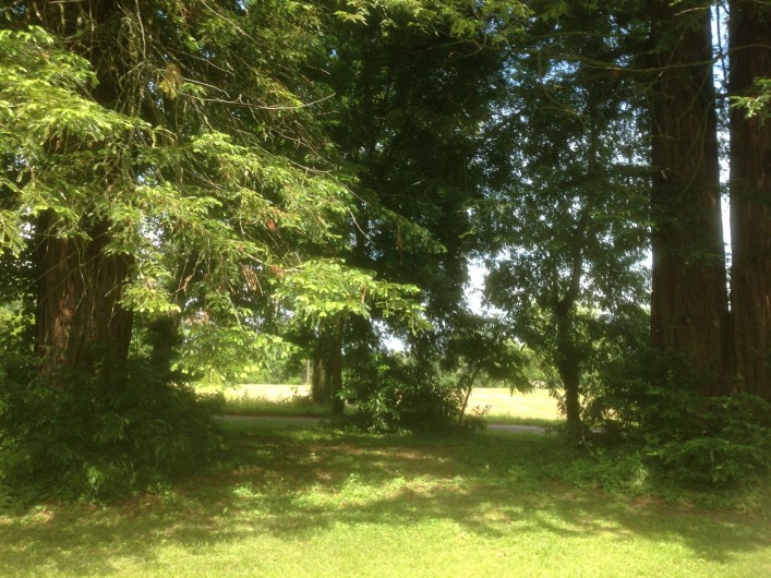 Location de vacances - Appartement à Bergerac