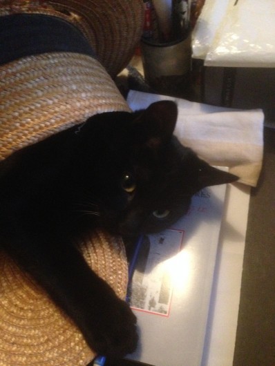 Location de vacances - Appartement à Bergerac