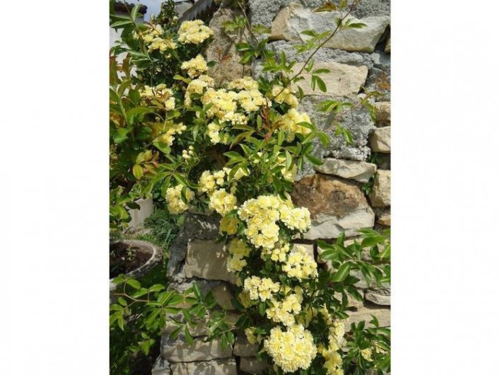 Location de vacances - Maison - Villa à Lablachère