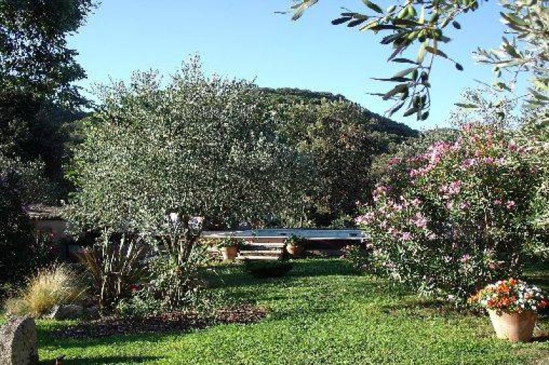 Location de vacances - Maison - Villa à Collias