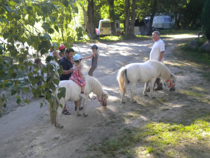 Location de vacances - Bungalow - Mobilhome à Villefranche-de-Rouergue - balade à poney gratuite pour les enfants