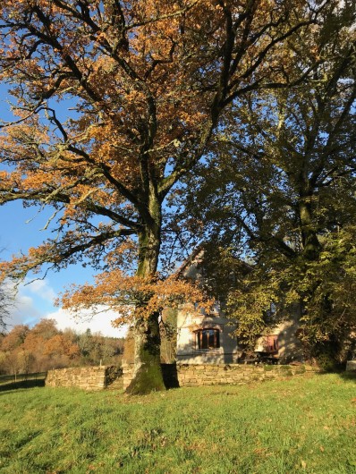 Location de vacances - Gîte à La Nouaille