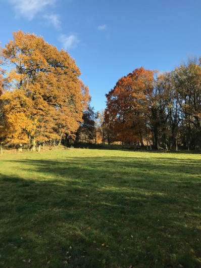 Location de vacances - Gîte à La Nouaille