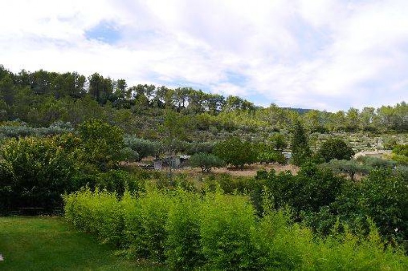 Location de vacances - Appartement à Solliès-Toucas - Vue sur l'oliveraie voisine