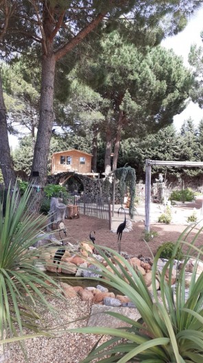 Location de vacances - Villa à Saint-Pierre la Mer - La pinède