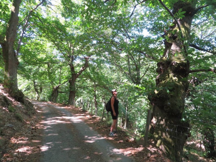 Location de vacances - Camping à Saint-Pierreville