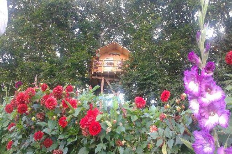 Location de vacances - Cabane dans les arbres à Paulhac-en-Margeride - Cabane calme et reposante
