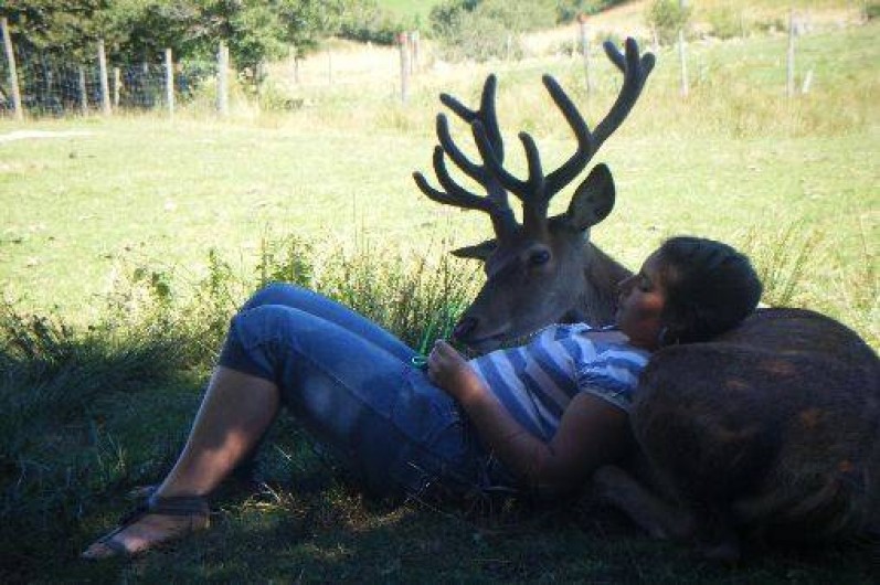 Location de vacances - Cabane dans les arbres à Paulhac-en-Margeride - Kiki la mascotte du parc