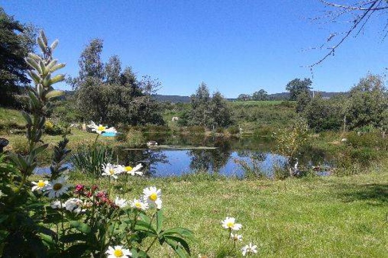 Location de vacances - Cabane dans les arbres à Paulhac-en-Margeride - Étang de pèche 
