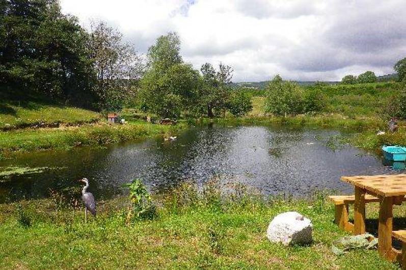 Location de vacances - Cabane dans les arbres à Paulhac-en-Margeride - Truites, grenouilles, tritons, et libellules cohabitent.