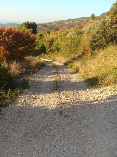 Location de vacances - Mas à Saint-Privat - Le petit chemin à