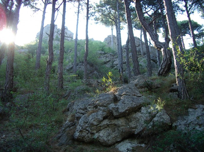 Location de vacances - Mas à Saint-Privat