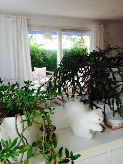 Location de vacances - Villa à L'Isle-sur-la-Sorgue