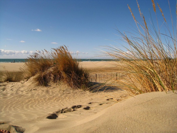Location de vacances - Studio à Le Cap d'Agde