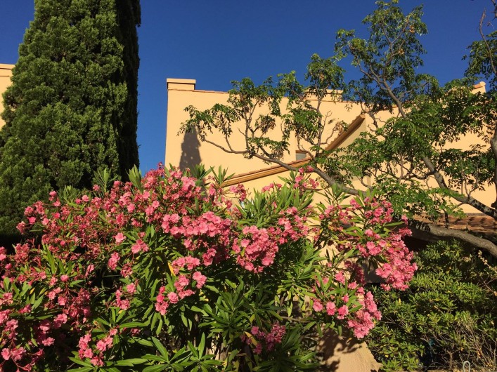 Location de vacances - Appartement à Port Leucate