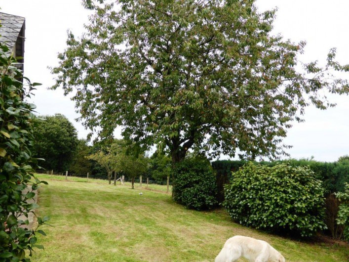 Location de vacances - Gîte à Louvigné-du-Désert - Jardin Arboré