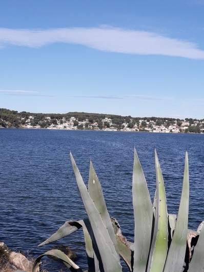 Location de vacances - Maison - Villa à Istres