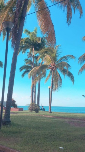 Location de vacances - Appartement à La Trinité