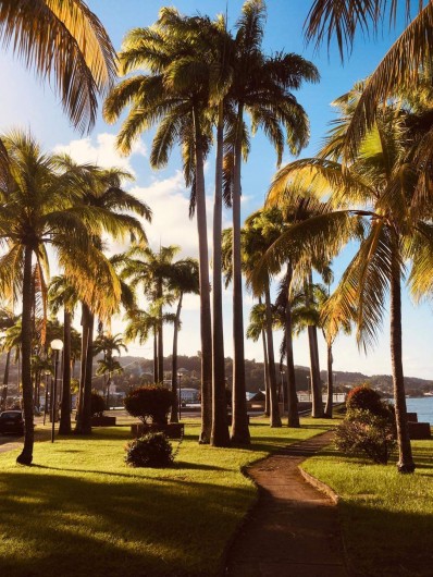 Location de vacances - Appartement à La Trinité