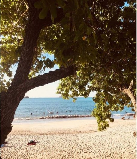 Location de vacances - Appartement à La Trinité