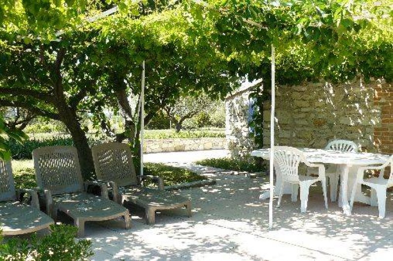 Location de vacances - Gîte à Saint-Jean-de-Serres - Pergola dans l'ombre du figuier et de la vigne vierge