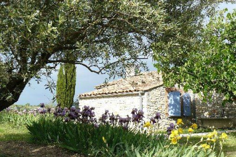 Location de vacances - Gîte à Saint-Jean-de-Serres - A l'ombre de l'olivier, vu sur la ch1 côté Sud-est