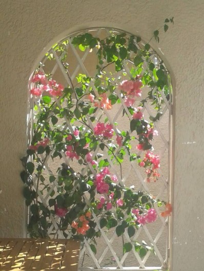 Location de vacances - Maison - Villa à Grand Baie